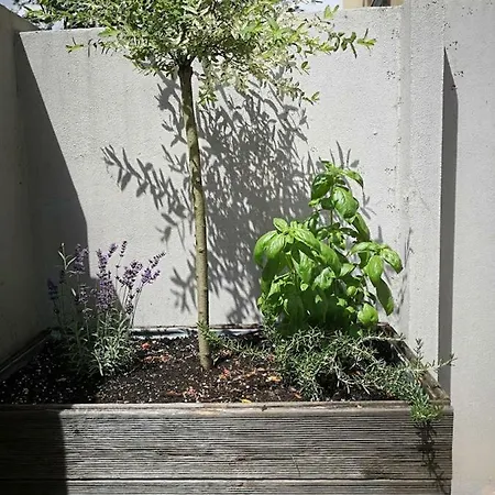 Marmas Place Appartamento *